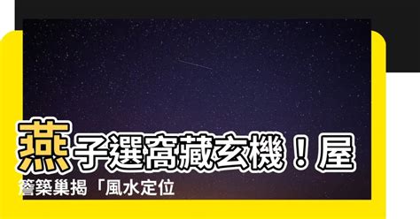 燕子巢 風水|【燕子築巢意義】燕子築巢洞悉界？揭秘牠們巢址的3大關鍵